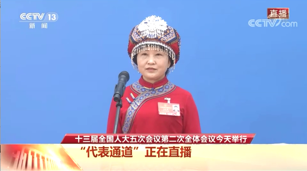 十三届全国人大五次会议第二次全体会议“代表通道”刘发英答记者问